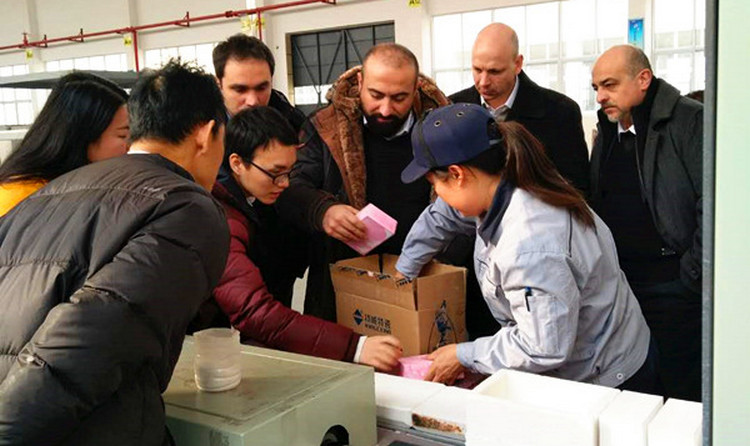 KU酷游官网(中国集团)有限公司